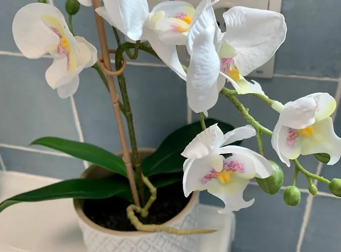 Be-cool Pool Center *